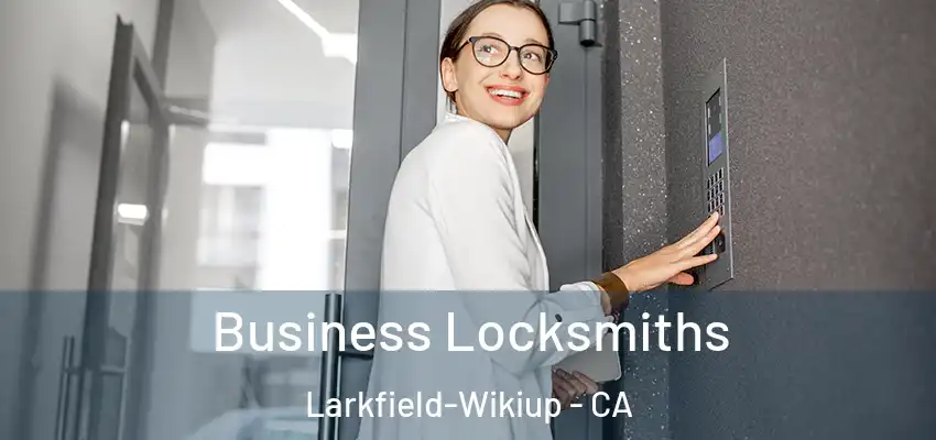  Business Locksmiths Larkfield-Wikiup - CA