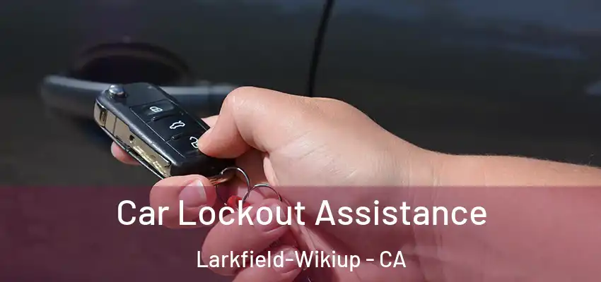 Car Lockout Assistance Larkfield-Wikiup - CA