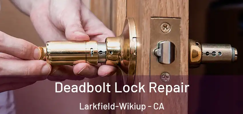  Deadbolt Lock Repair Larkfield-Wikiup - CA