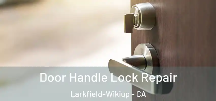  Door Handle Lock Repair Larkfield-Wikiup - CA