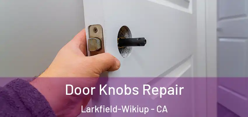 Door Knobs Repair Larkfield-Wikiup - CA