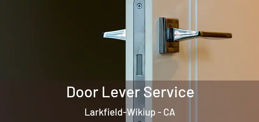  Door Lever Service Larkfield-Wikiup - CA