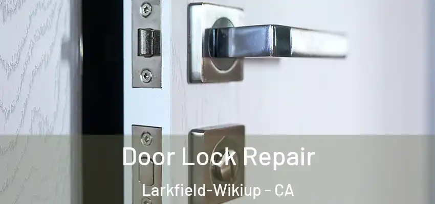 Door Lock Repair Larkfield-Wikiup - CA