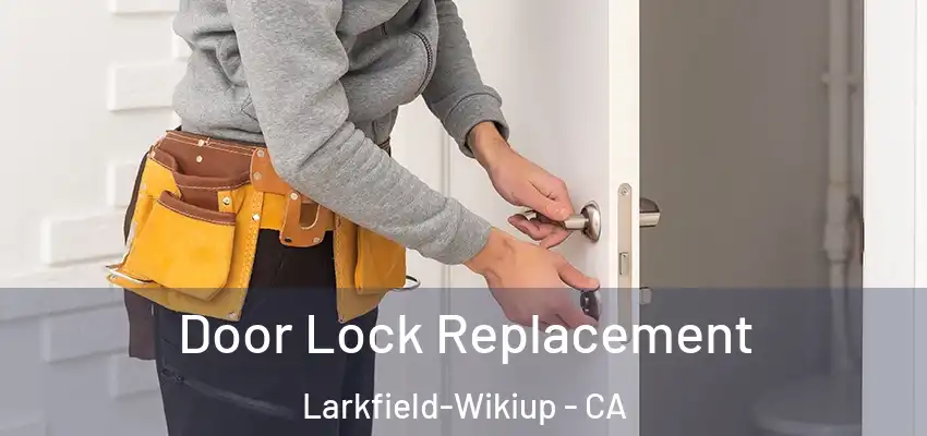 Door Lock Replacement Larkfield-Wikiup - CA