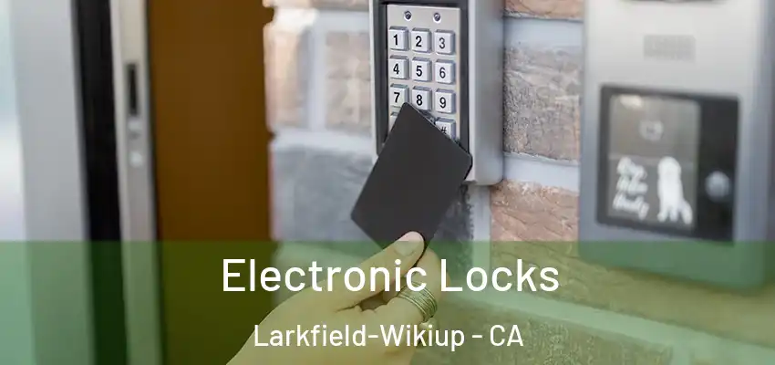  Electronic Locks Larkfield-Wikiup - CA