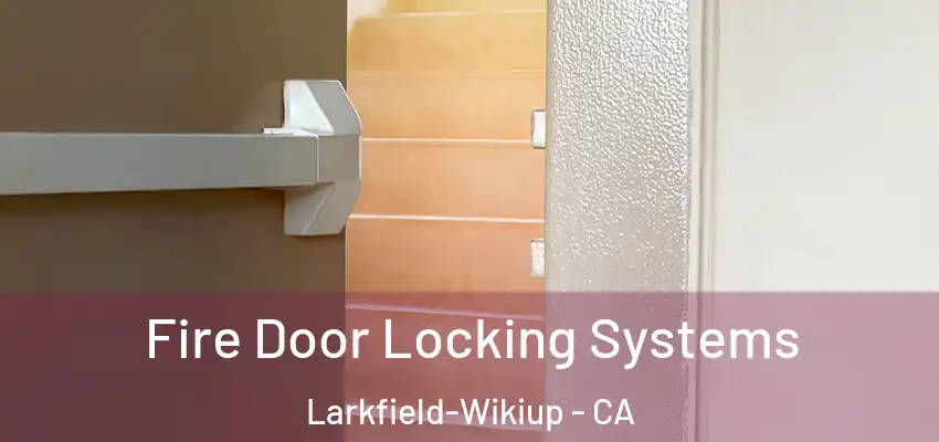 Fire Door Locking Systems Larkfield-Wikiup - CA