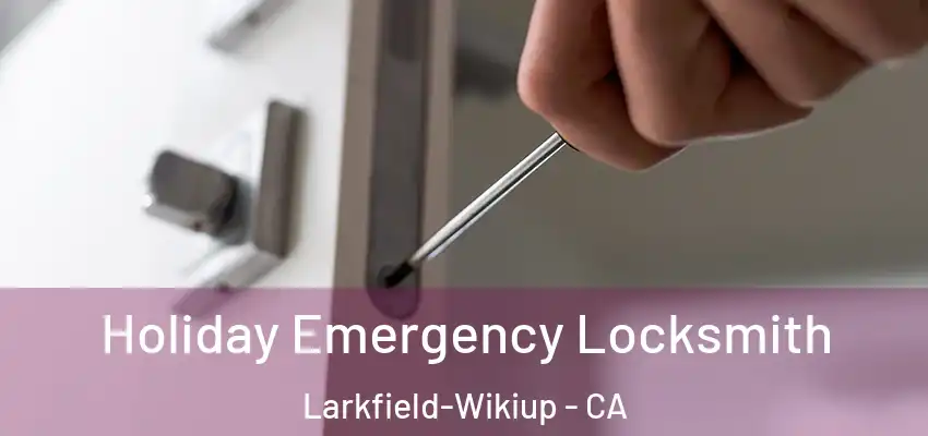  Holiday Emergency Locksmith Larkfield-Wikiup - CA