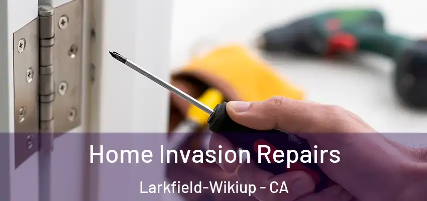 Home Invasion Repairs Larkfield-Wikiup - CA