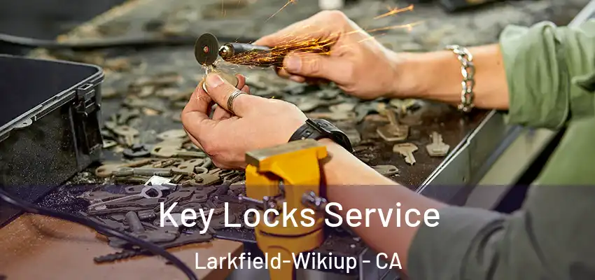  Key Locks Service Larkfield-Wikiup - CA