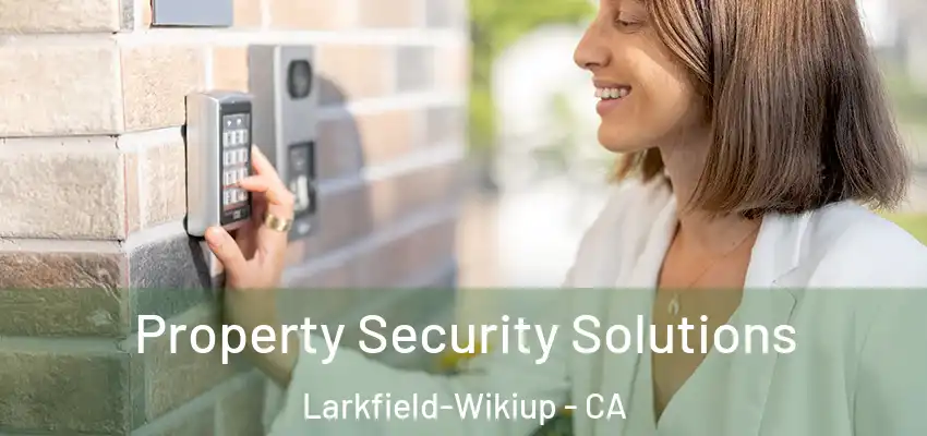 Property Security Solutions Larkfield-Wikiup - CA