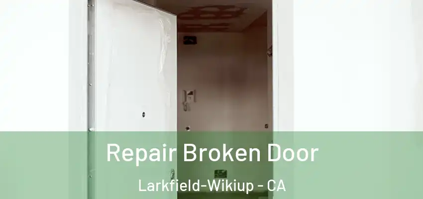 Repair Broken Door Larkfield-Wikiup - CA